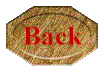 back2.gif (3262 bytes)
