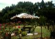 pemandangan1.JPG (3594 bytes)